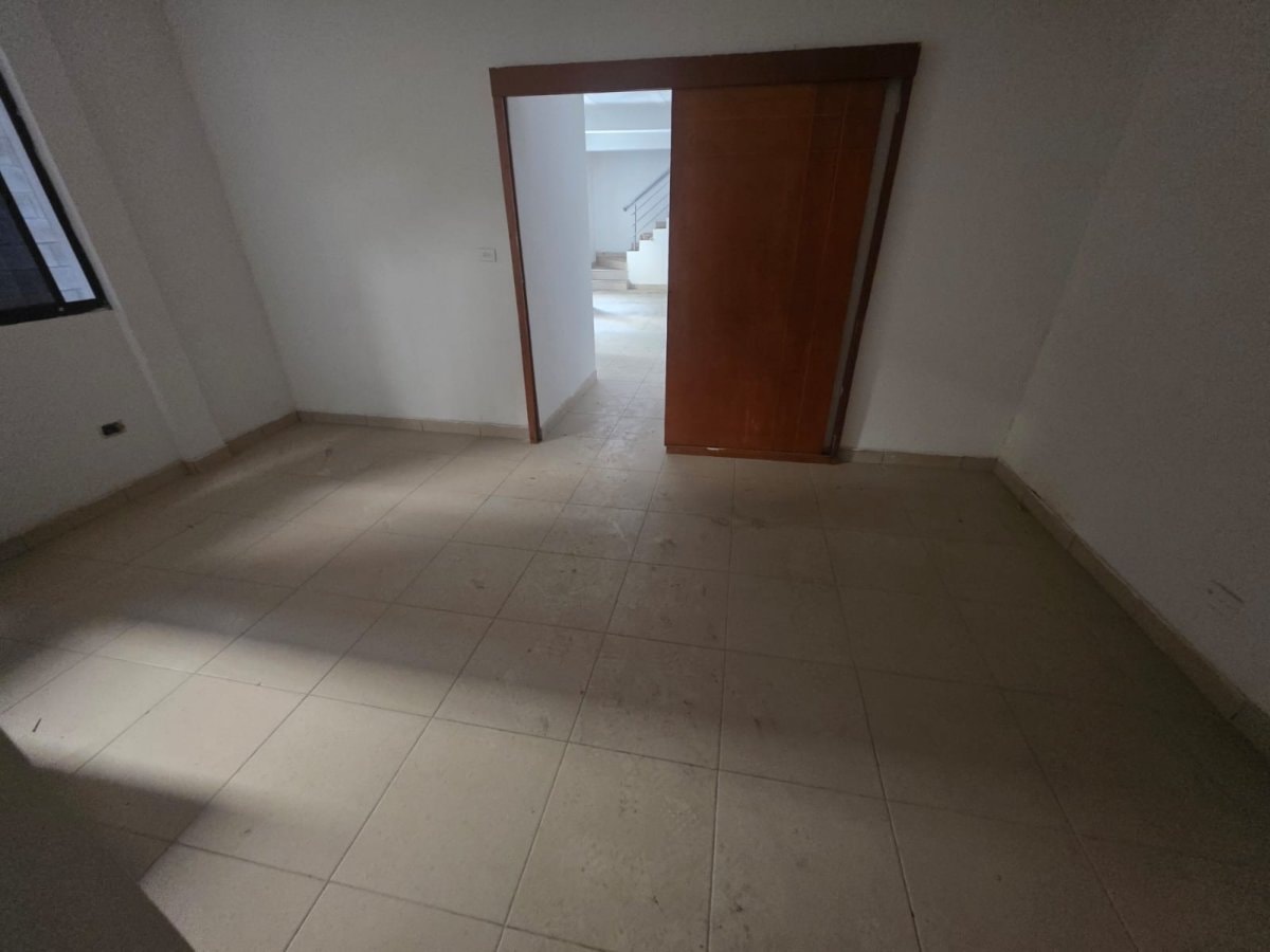 Bodega - Foto 10
