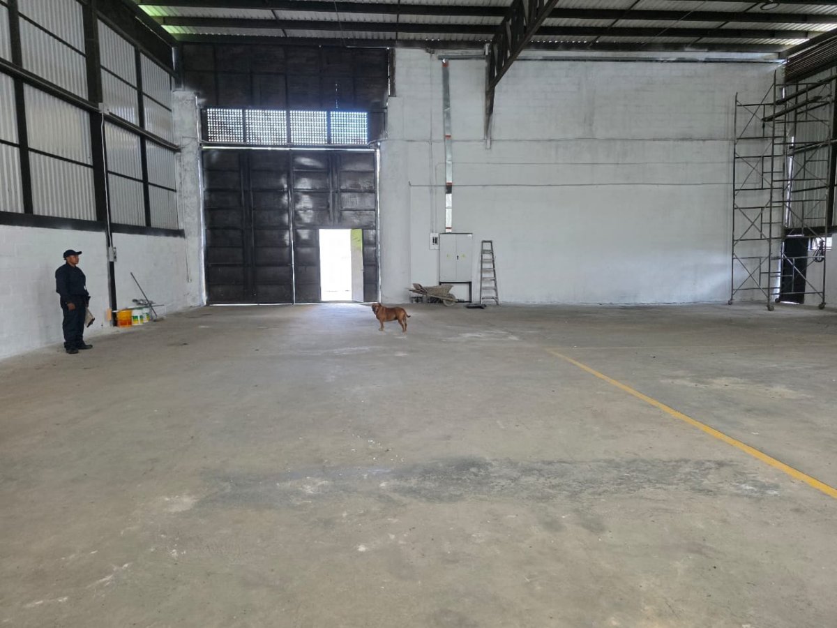 Bodega - Foto 2