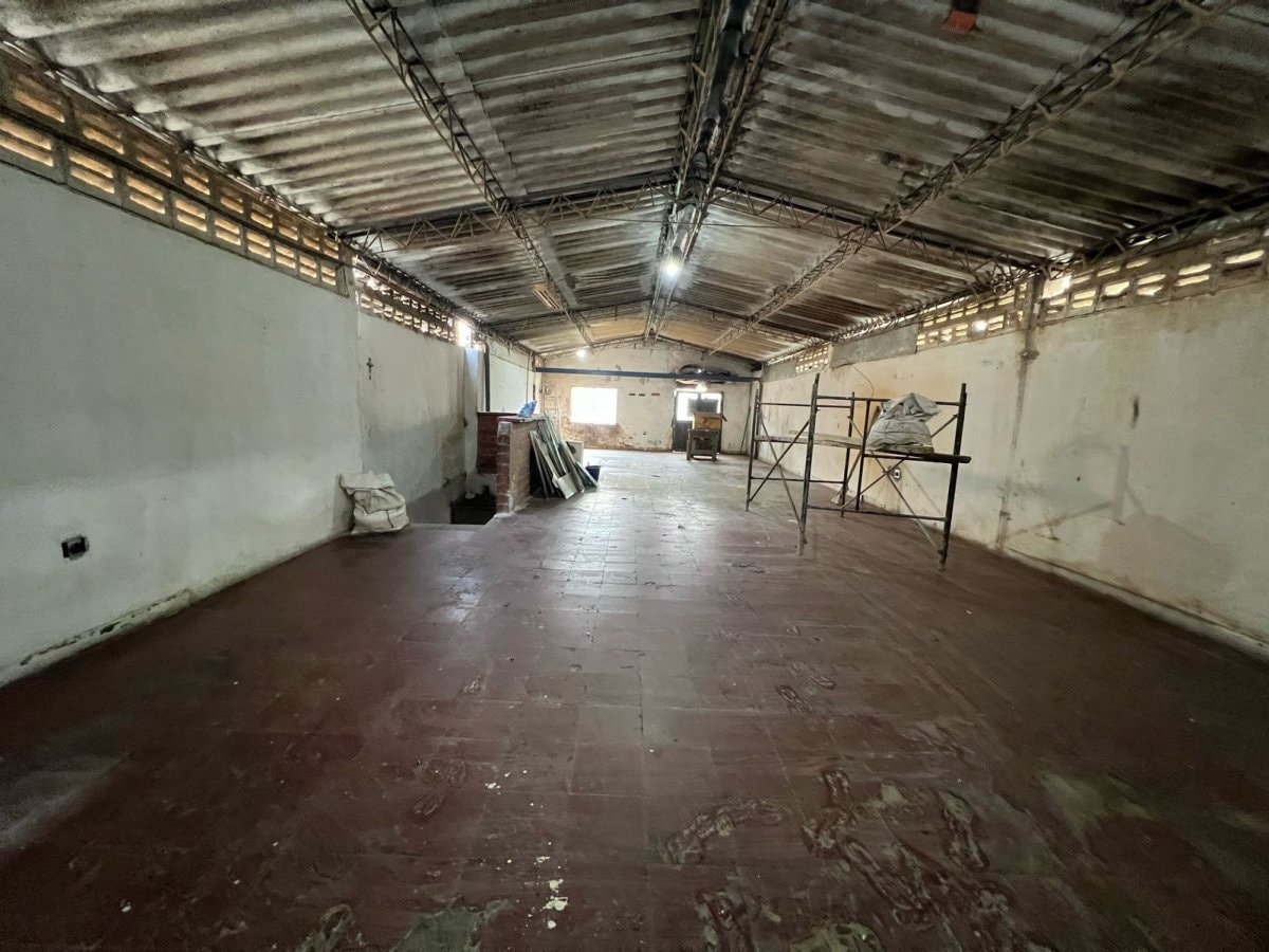 Bodega - Foto 4