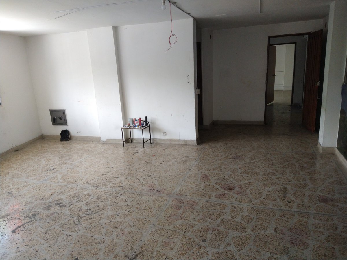 Bodega - Foto 2
