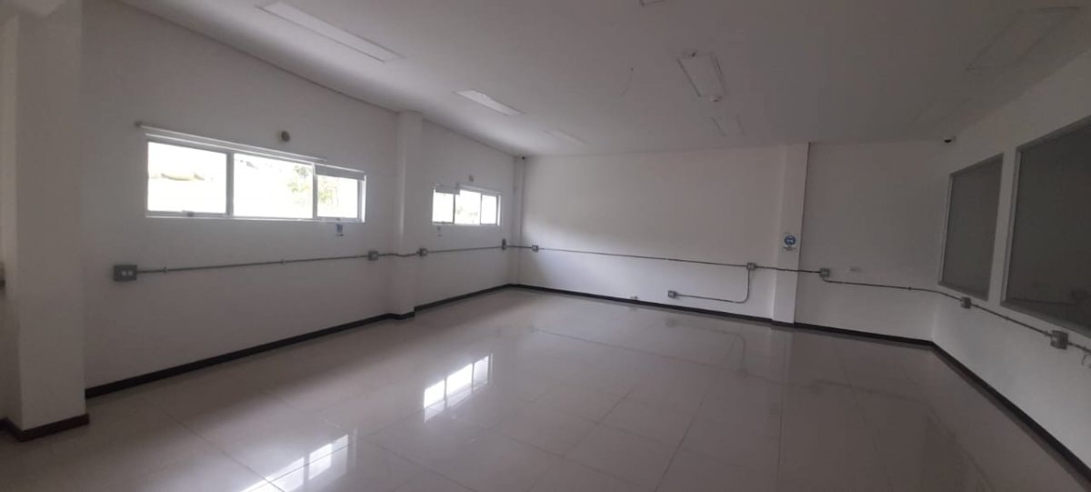 Bodega - Foto 18