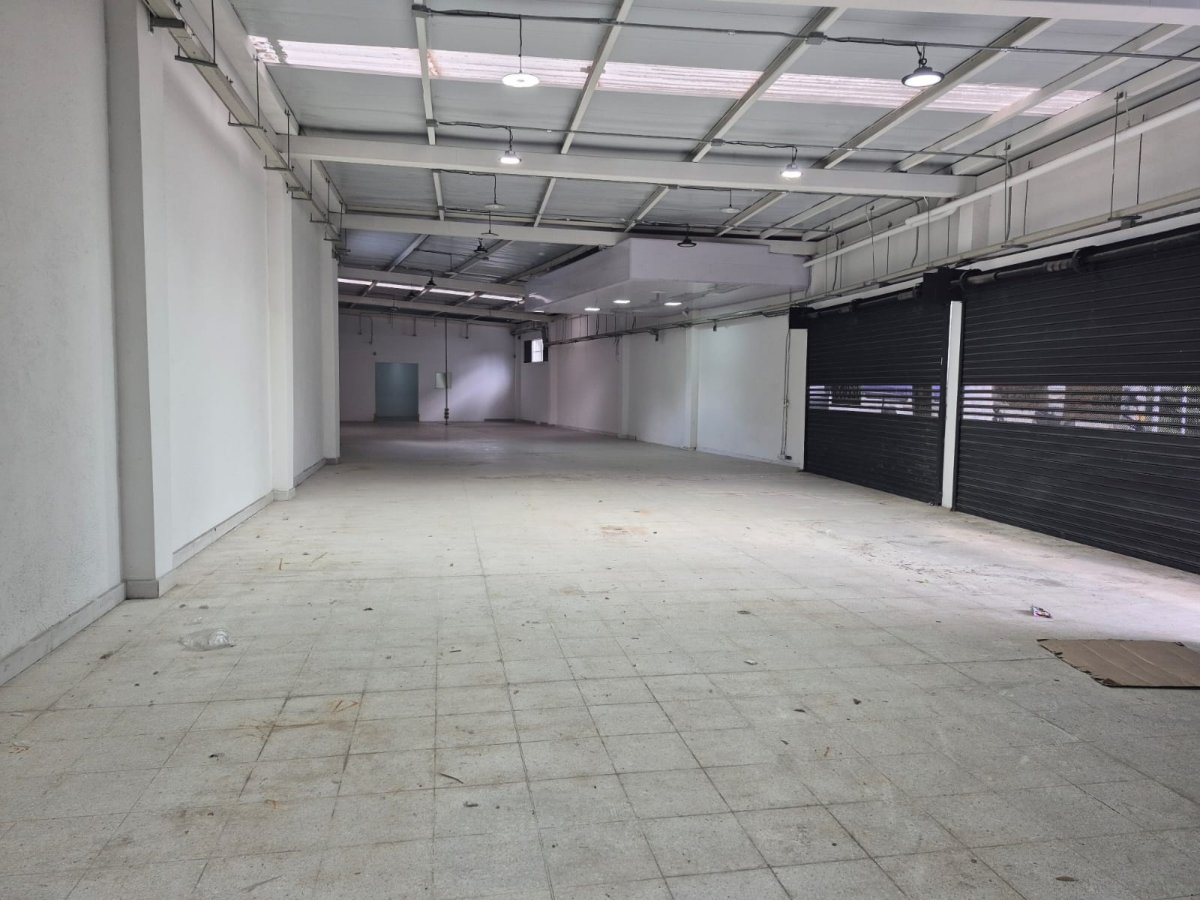 Bodega - Foto 2
