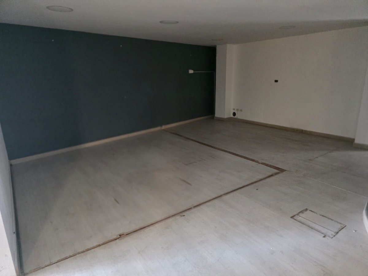Bodega - Foto 5