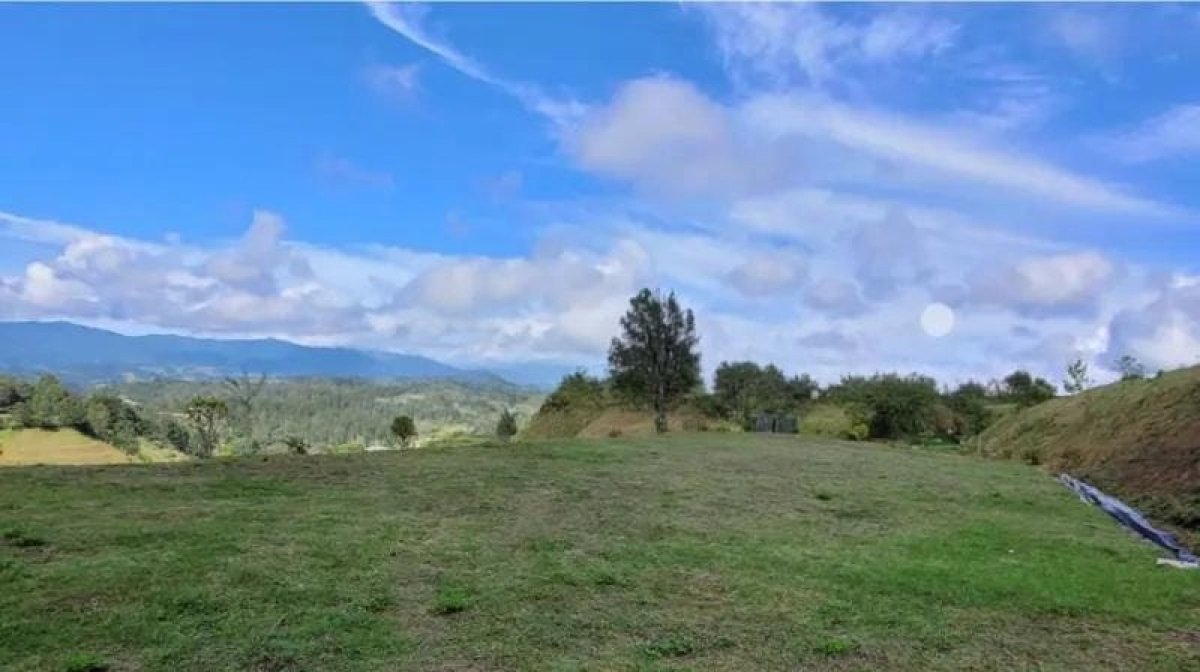Lote - Foto 1