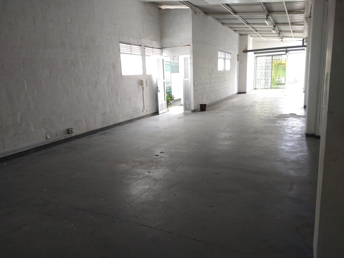 Bodega - Foto 6