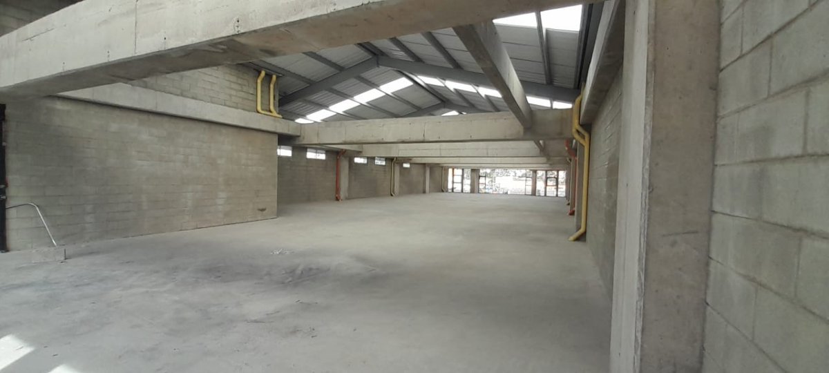 Bodega - Foto 3