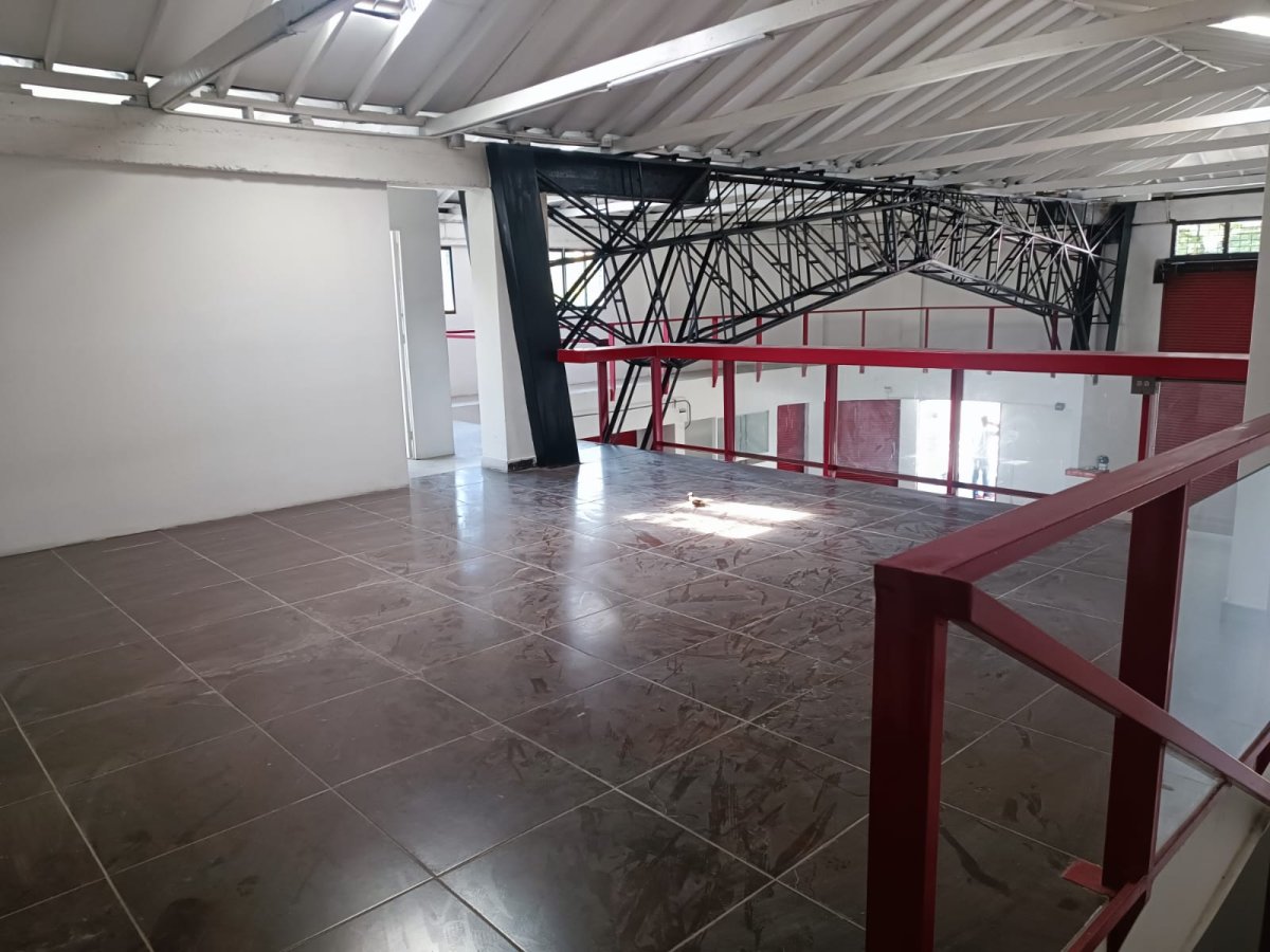 Bodega - Foto 3