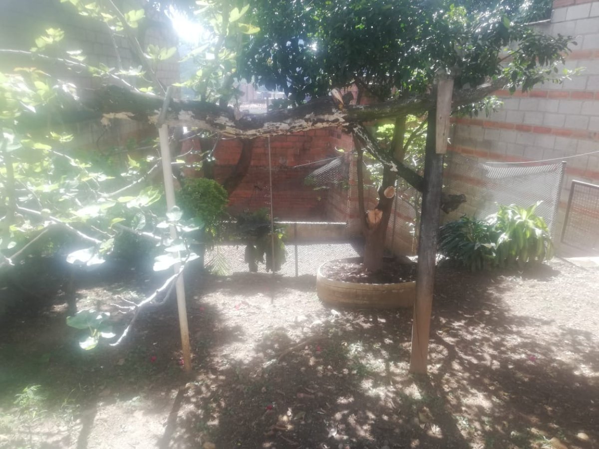 Local - Foto 3