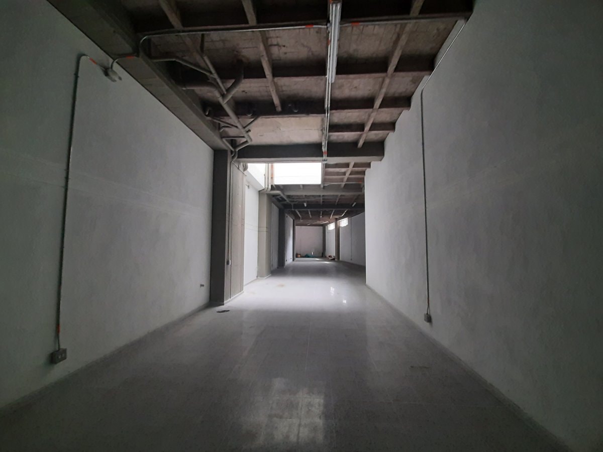Bodega - Foto 1