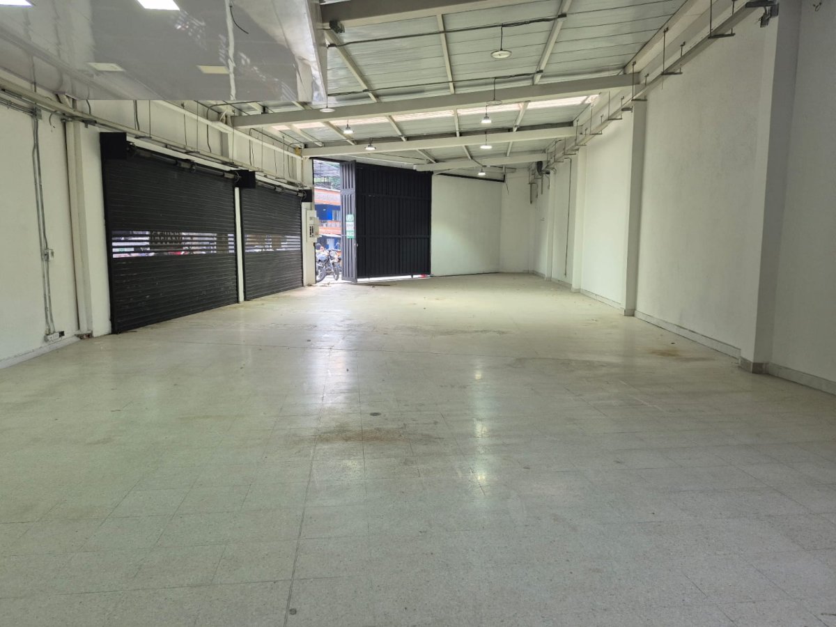 Bodega - Foto 6