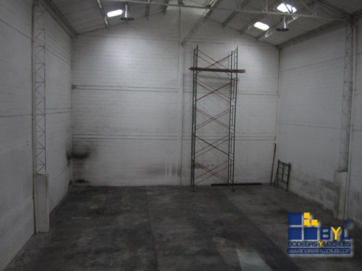 Bodega - Foto 8