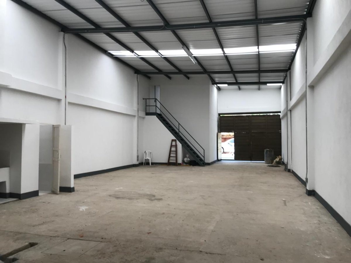 Bodega - Foto 5