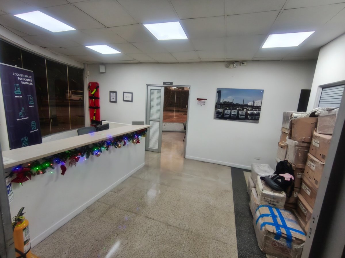 Bodega - Foto 6
