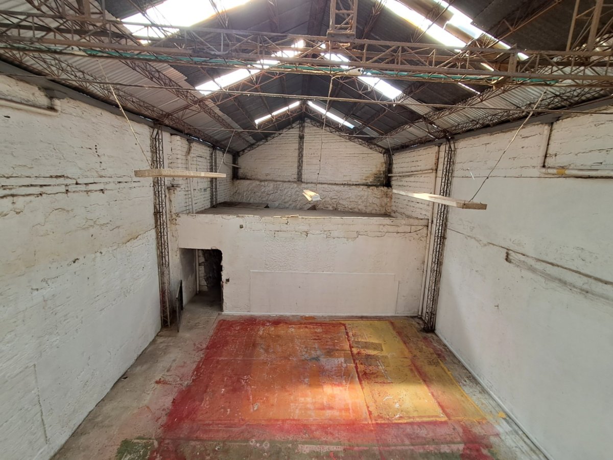 Bodega - Foto 6