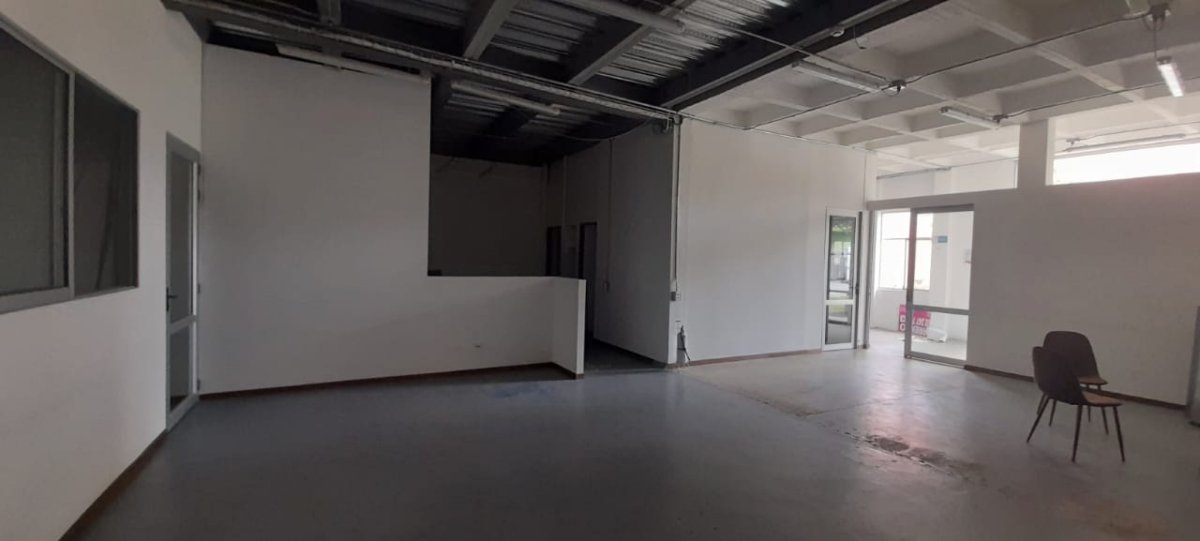 Bodega - Foto 5