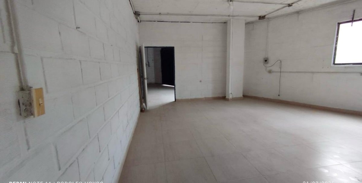 Bodega - Foto 6