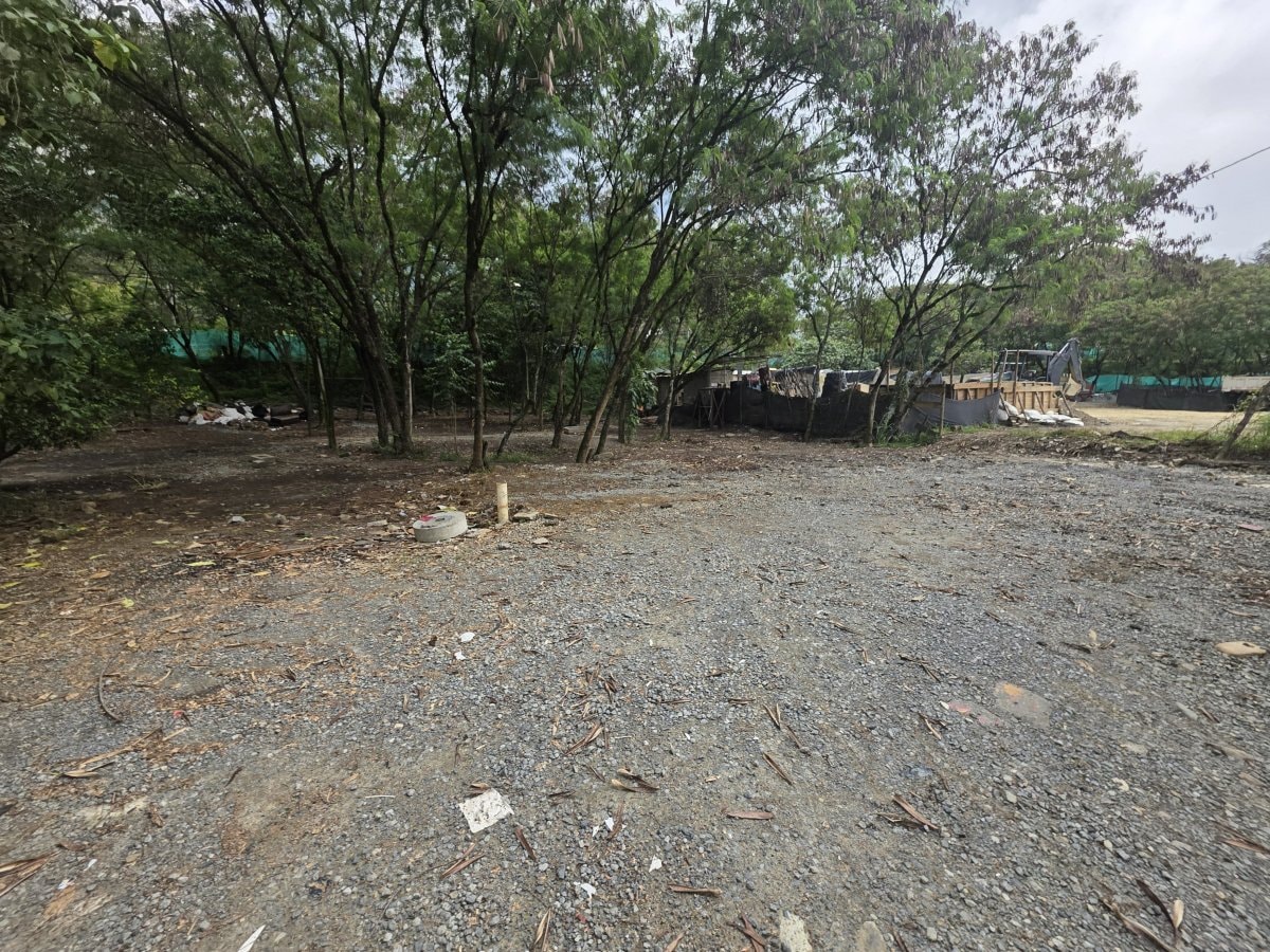Lote - Foto 17