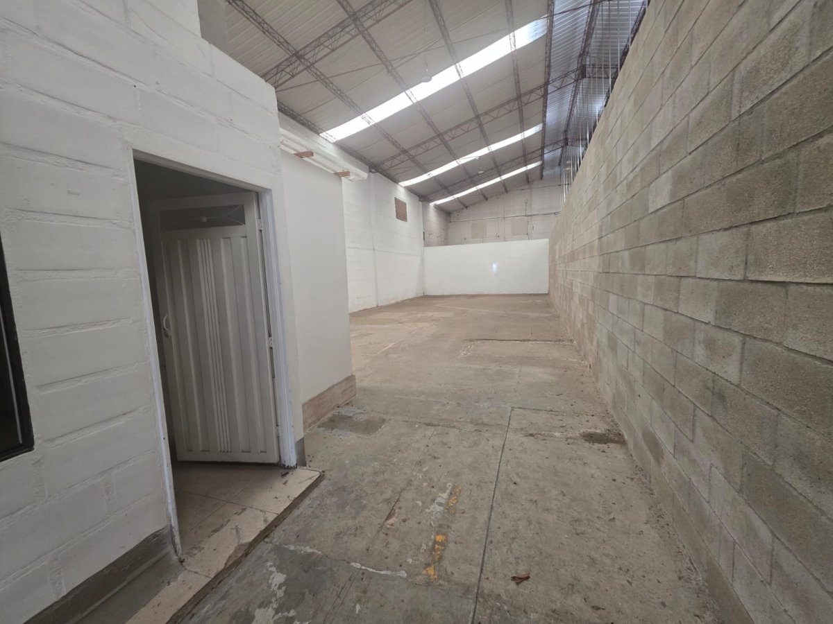 Bodega - Foto 5