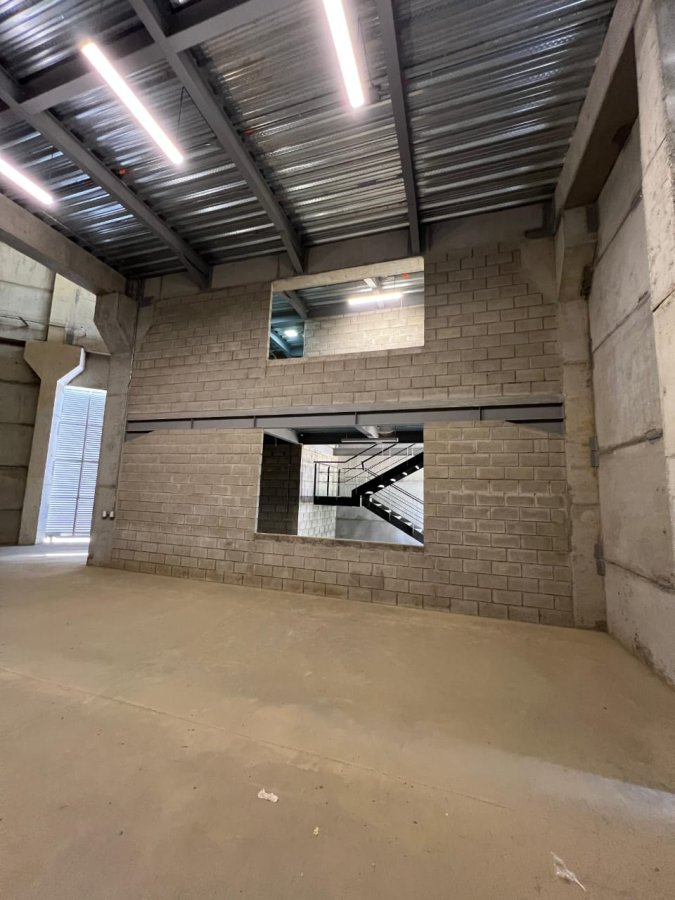 Bodega - Foto 2