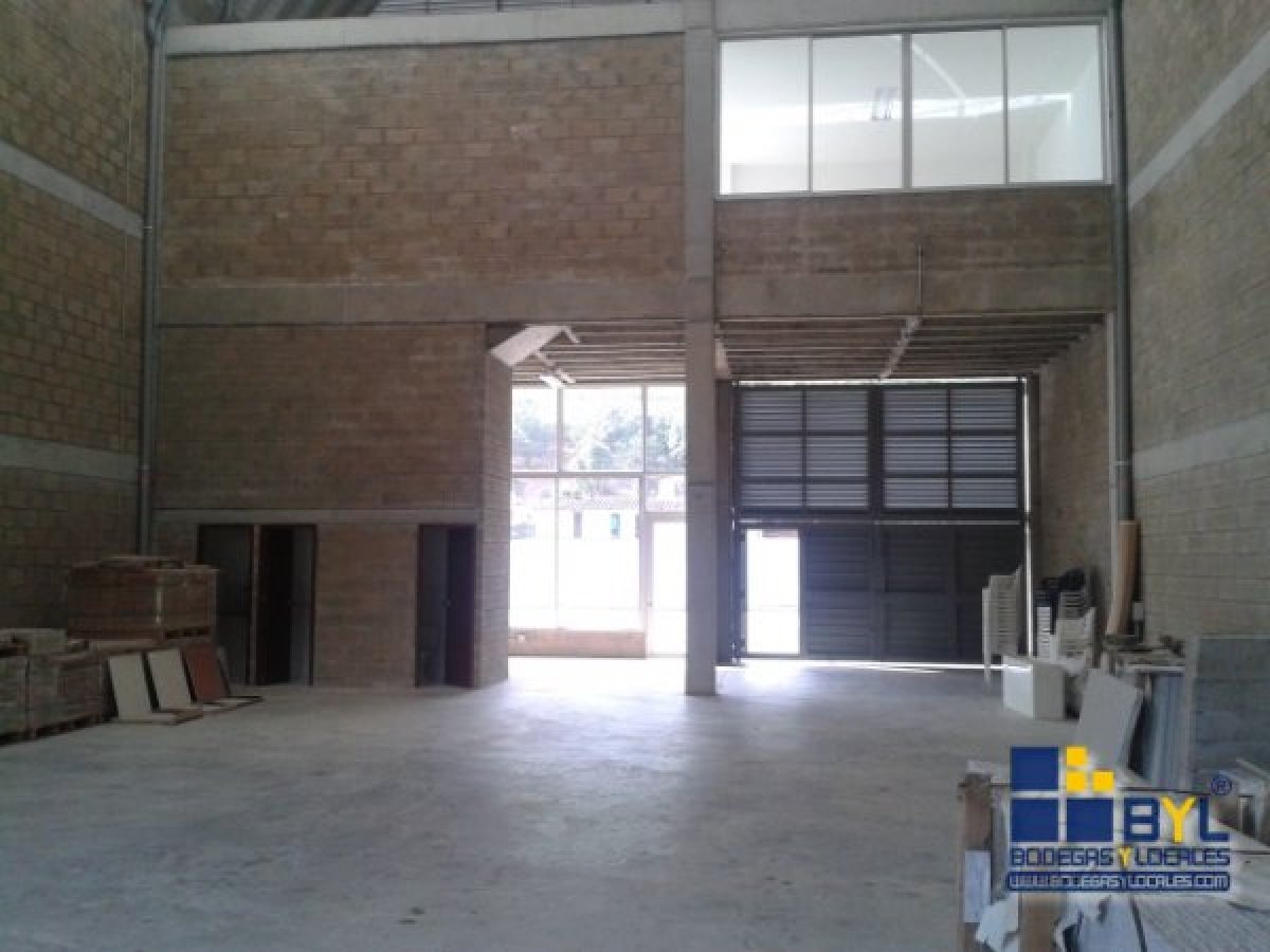 Bodega - Foto 6