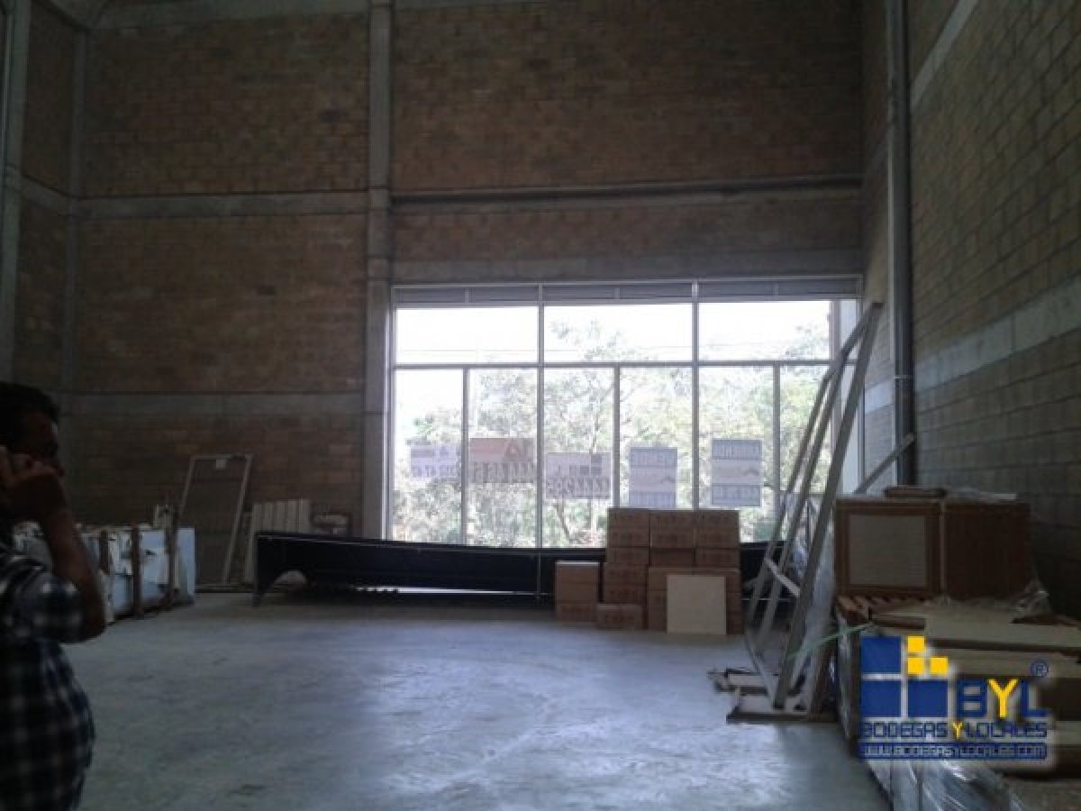 Bodega - Foto 3
