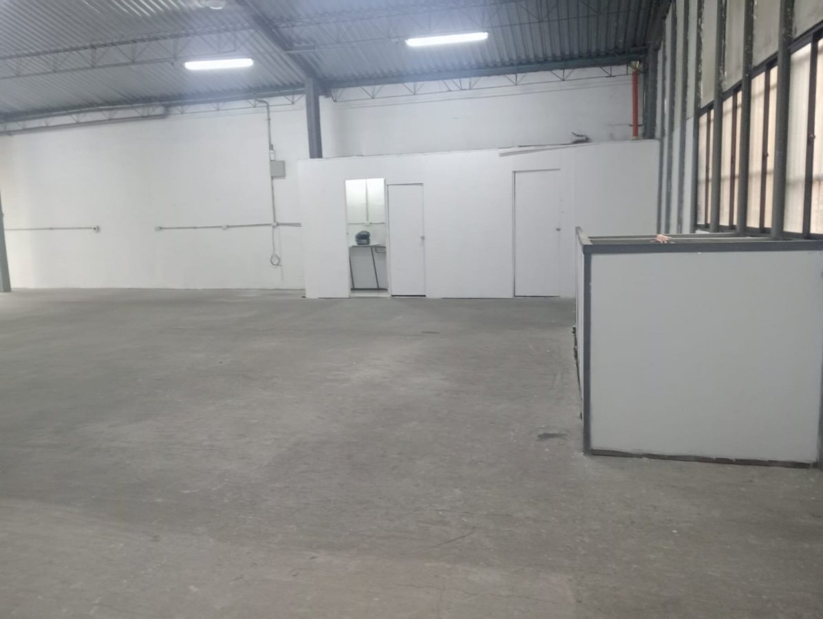 Bodega - Foto 2