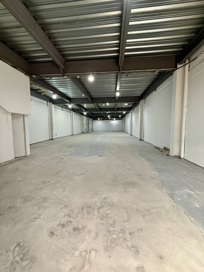 Bodega - Foto 2
