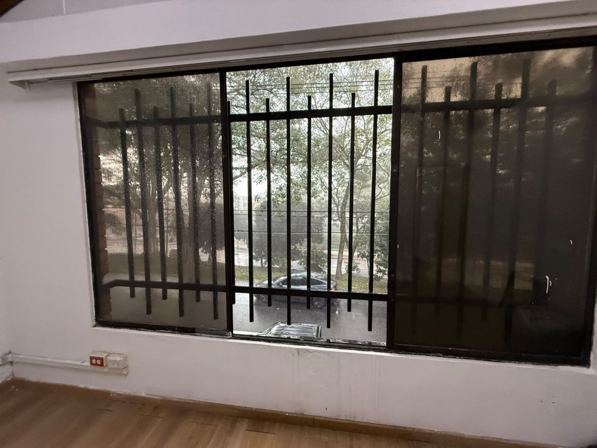 Bodega - Foto 6