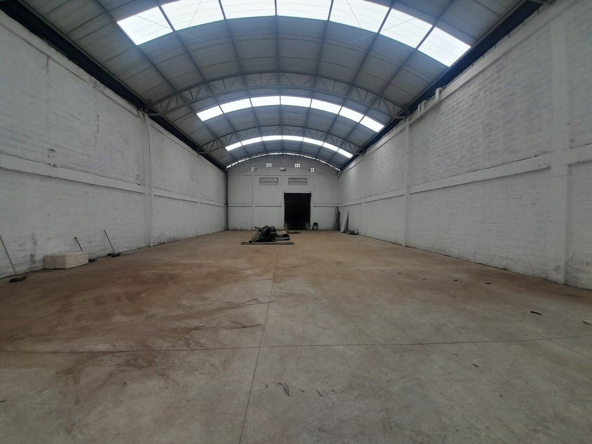 Bodega - Foto 3