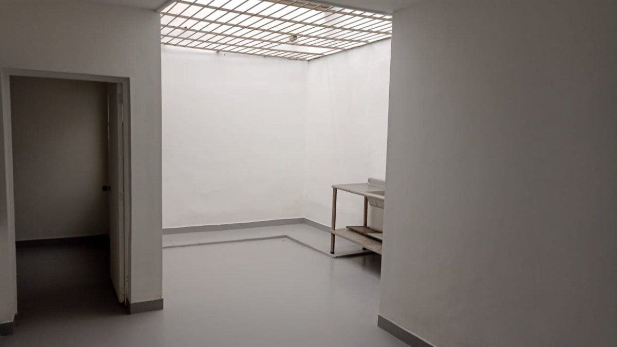 Bodega - Foto 4