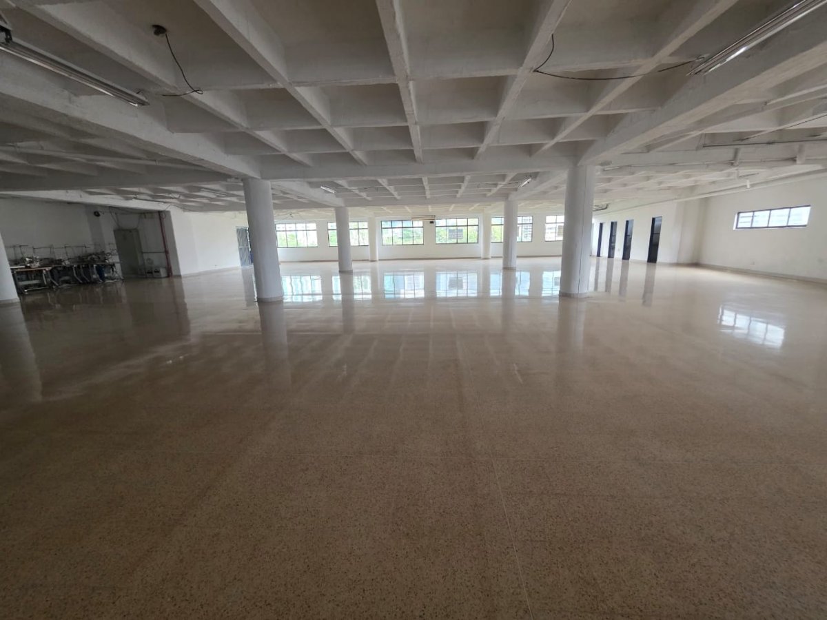 Bodega - Foto 2