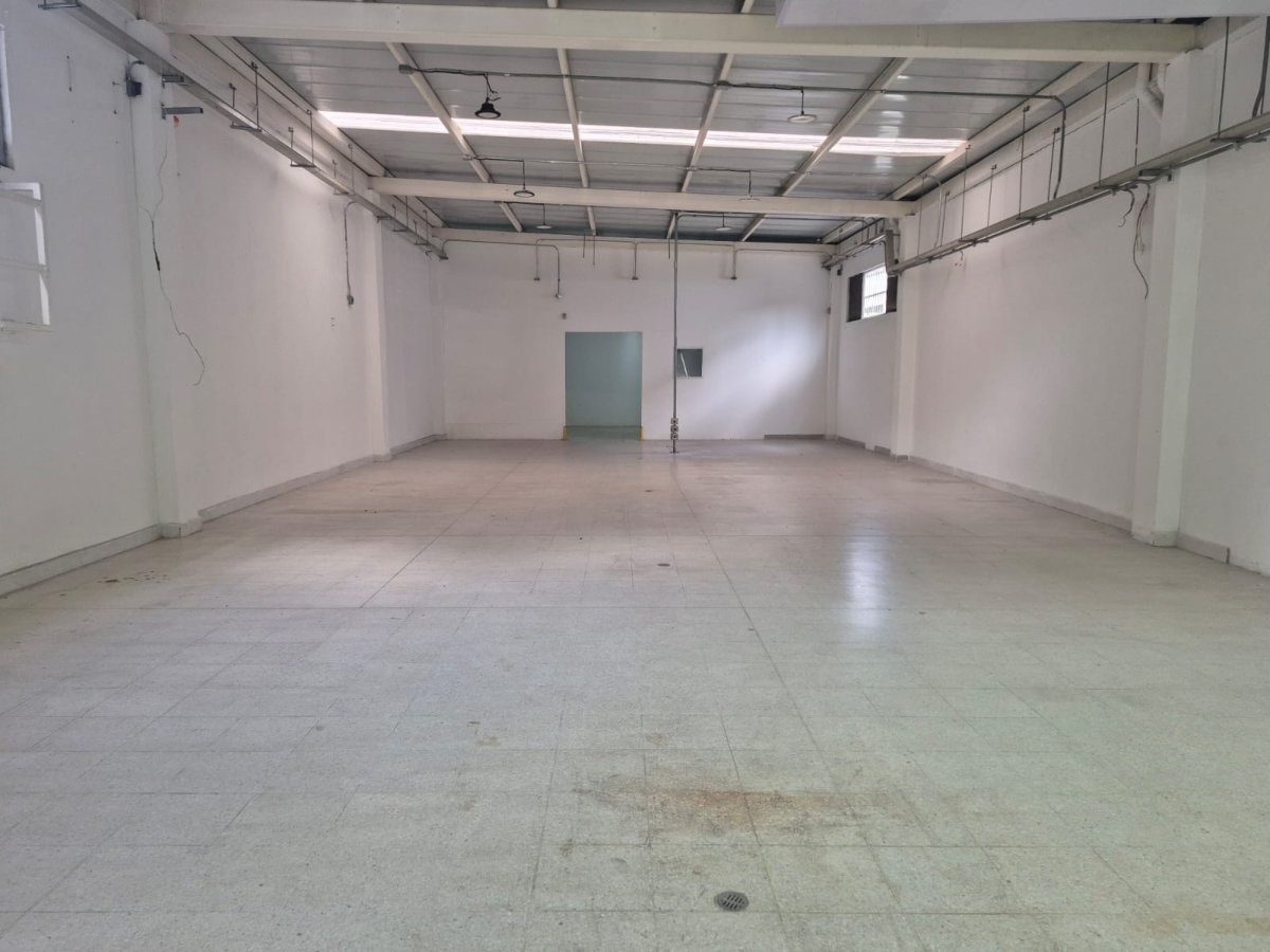 Bodega - Foto 3