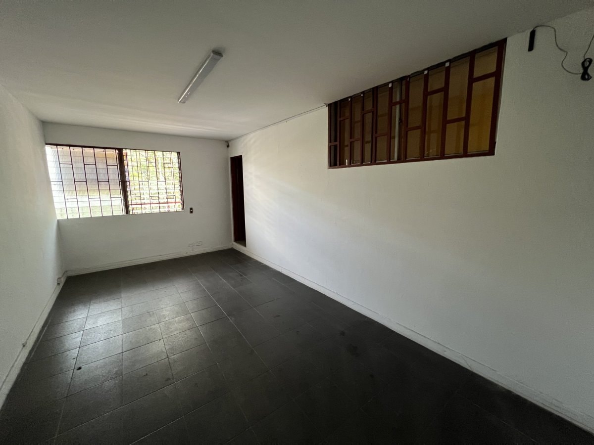Bodega - Foto 4