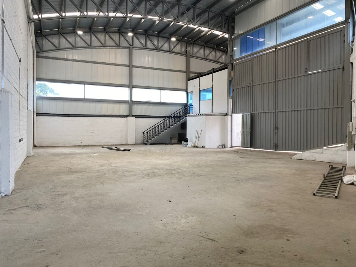 Bodega - Foto 4