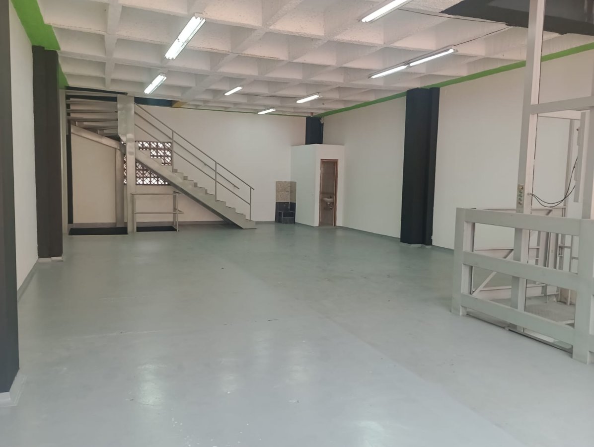 Bodega - Foto 4