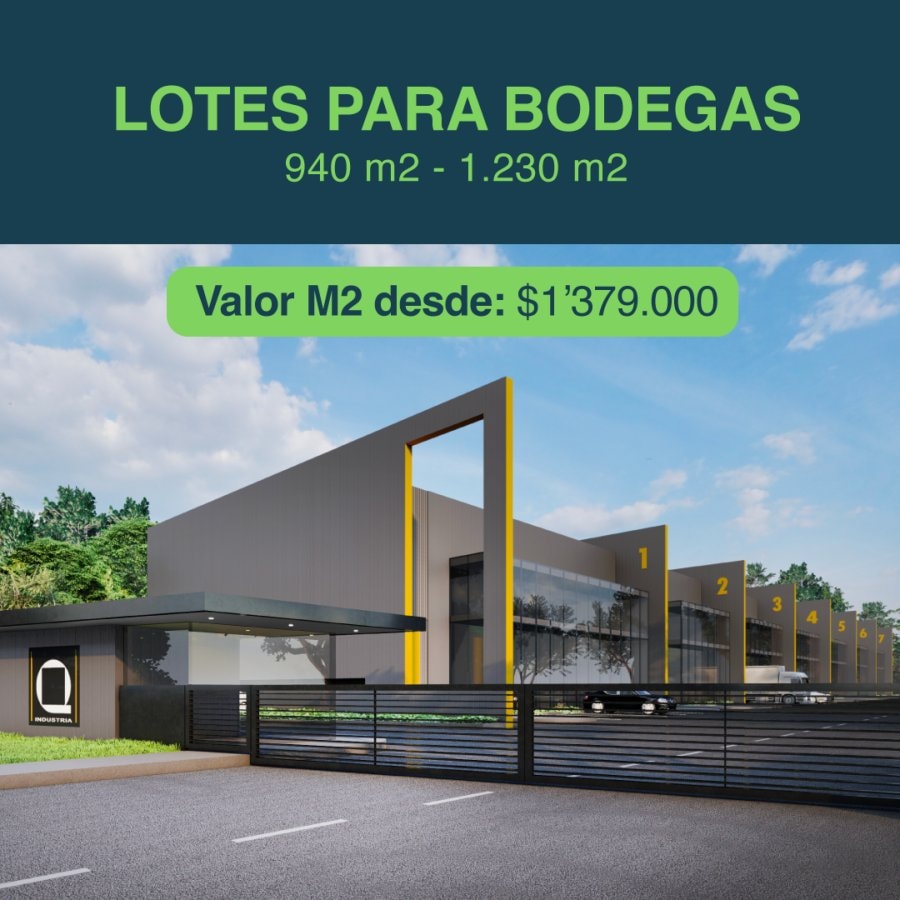 Lote - Foto 4