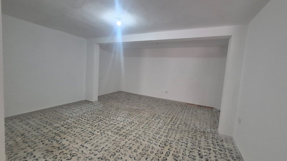 Bodega - Foto 5