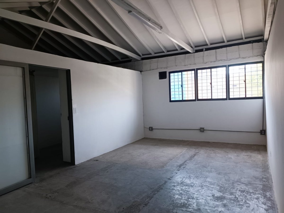 Bodega - Foto 10
