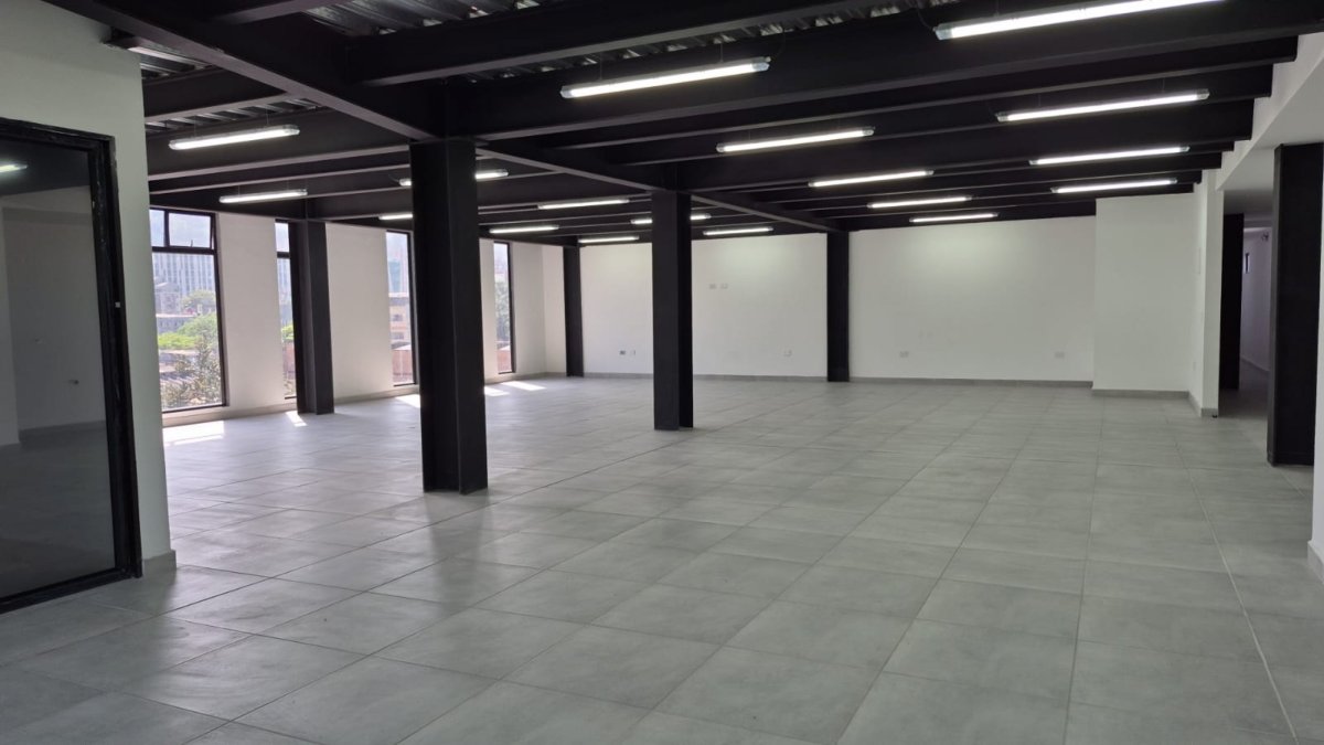 Bodega - Foto 18