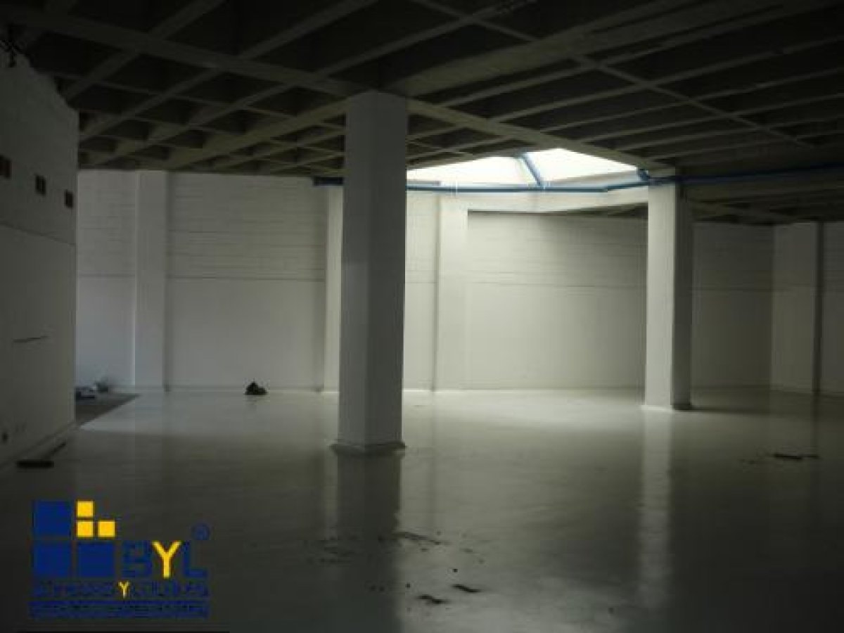Bodega - Foto 2