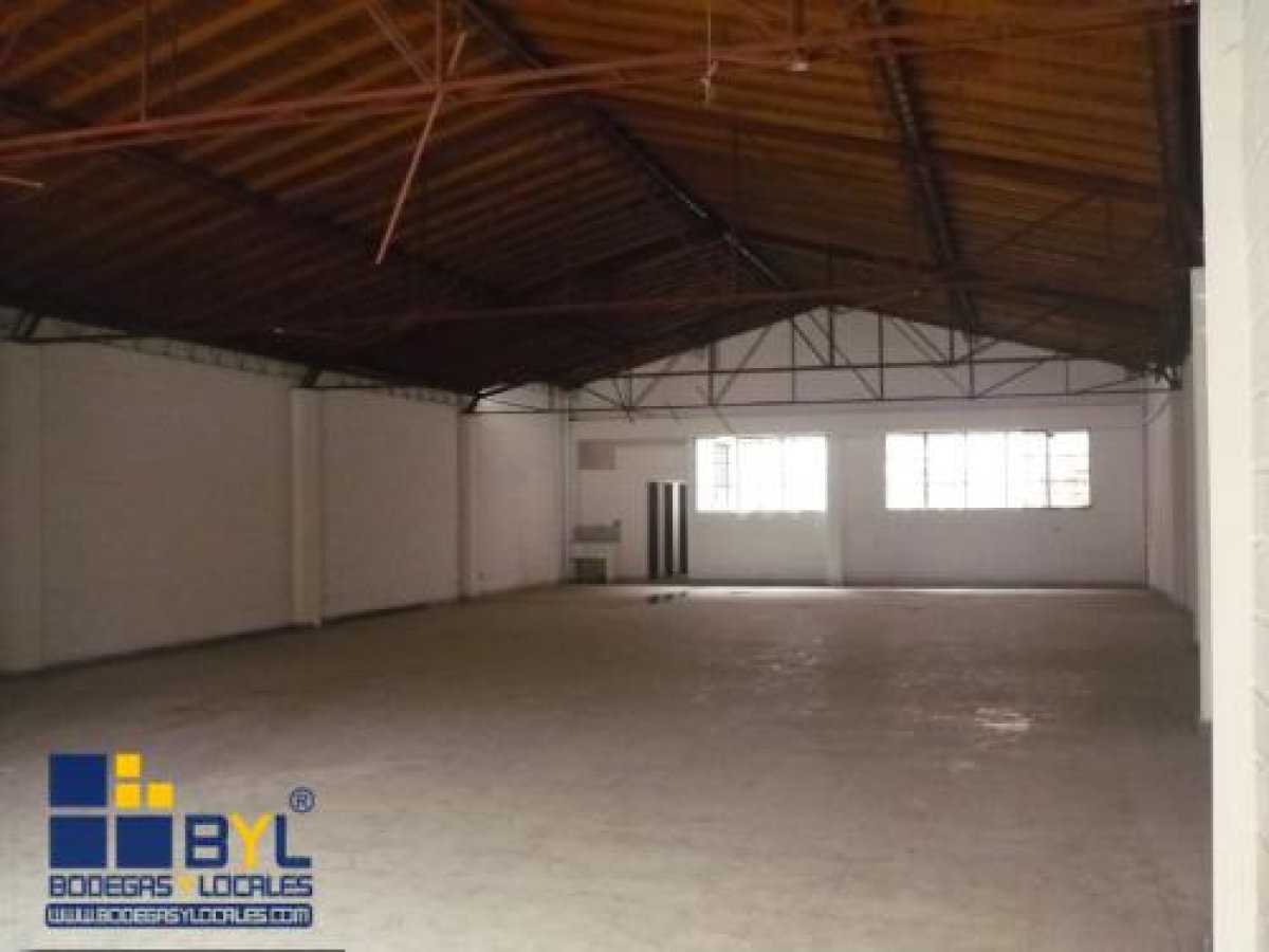 Bodega - Foto 2