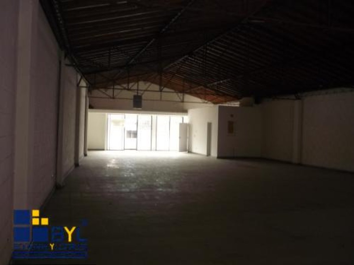 Bodega - Foto 5