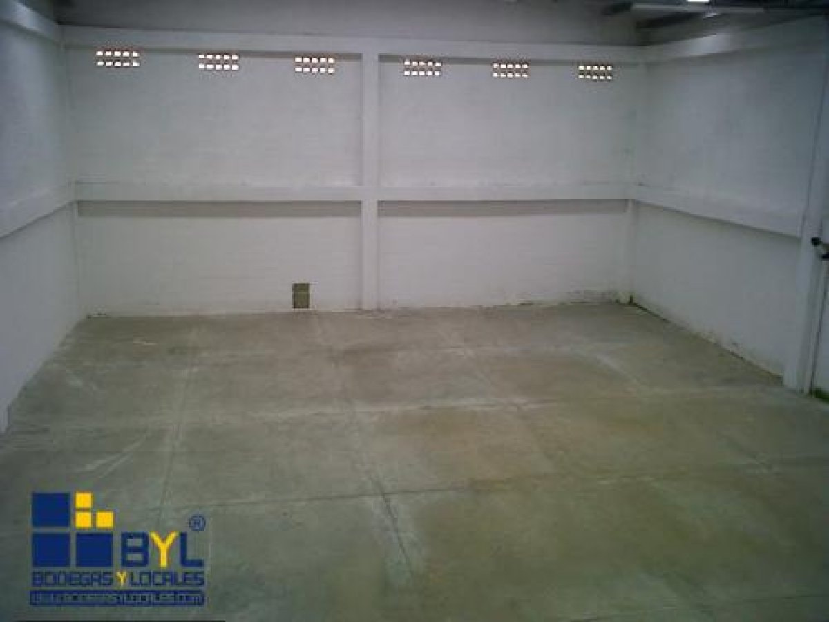 Bodega - Foto 2