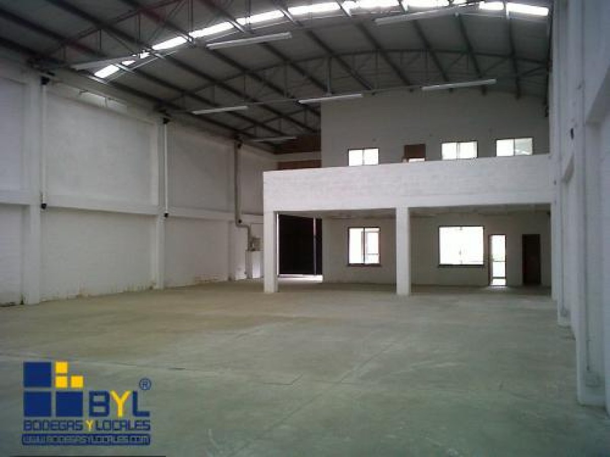Bodega - Foto 6