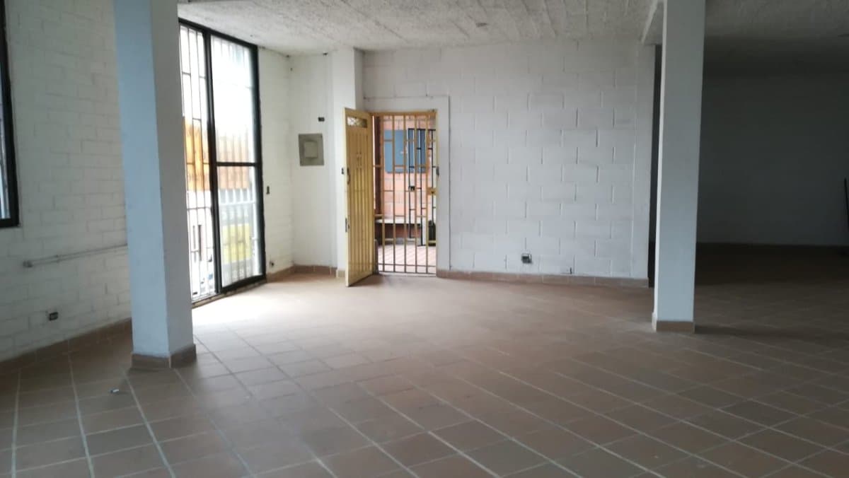 Bodega - Foto 4