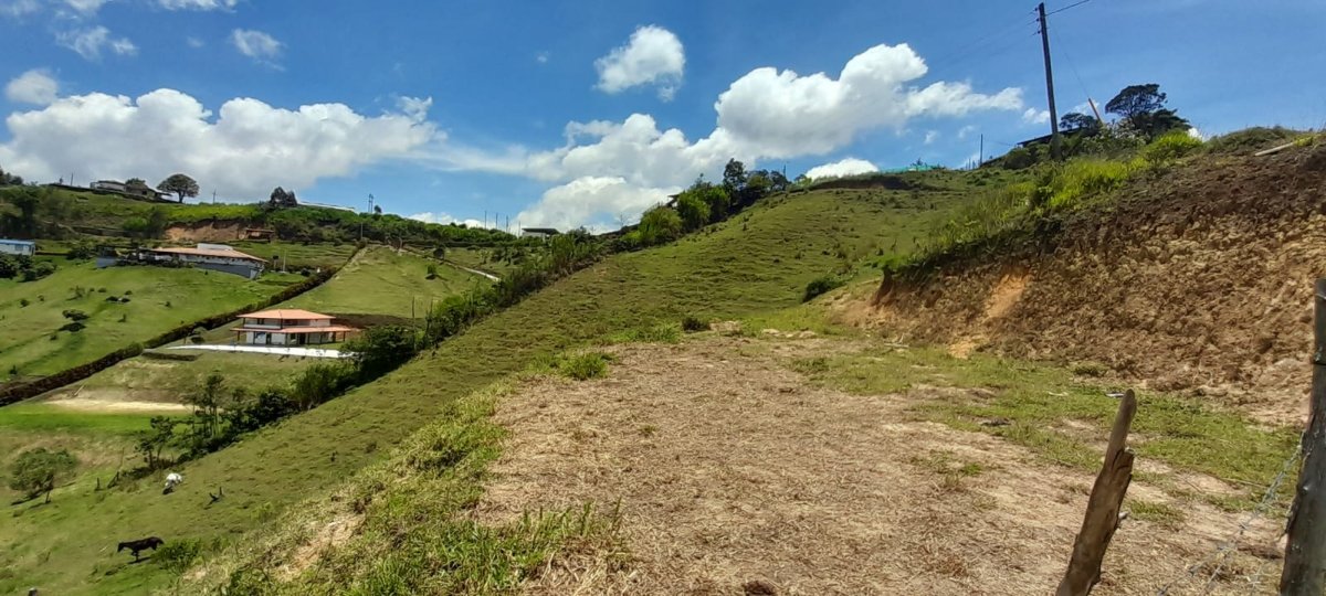 Lote - Foto 2