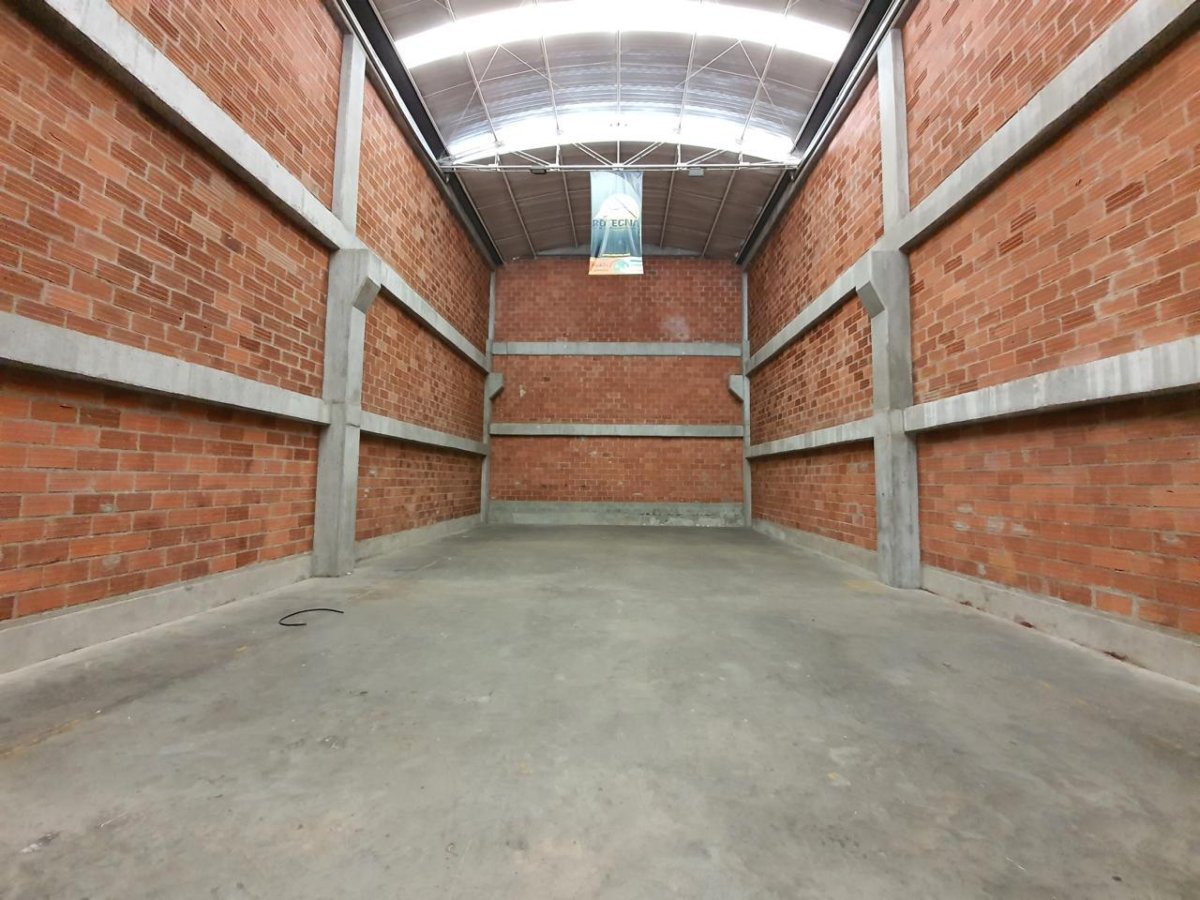 Bodega - Foto 7