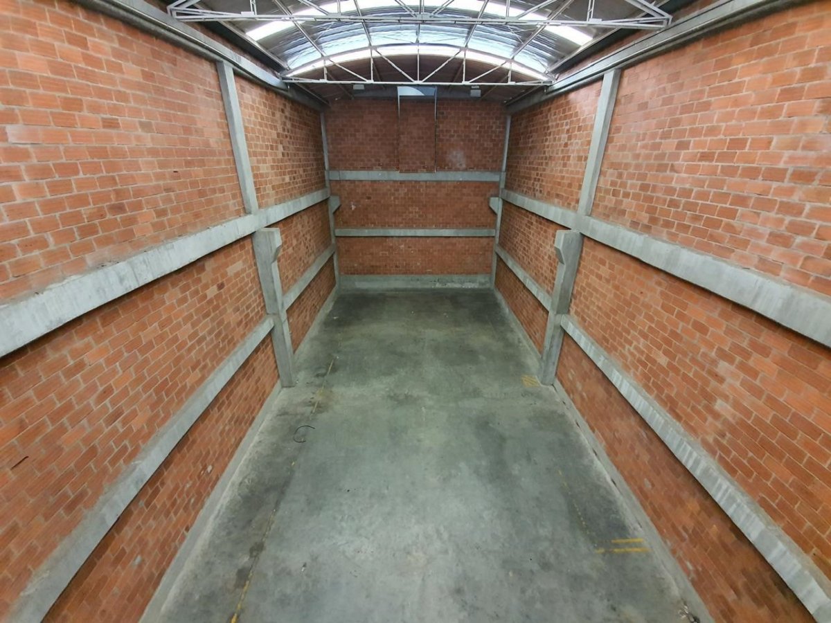 Bodega - Foto 4