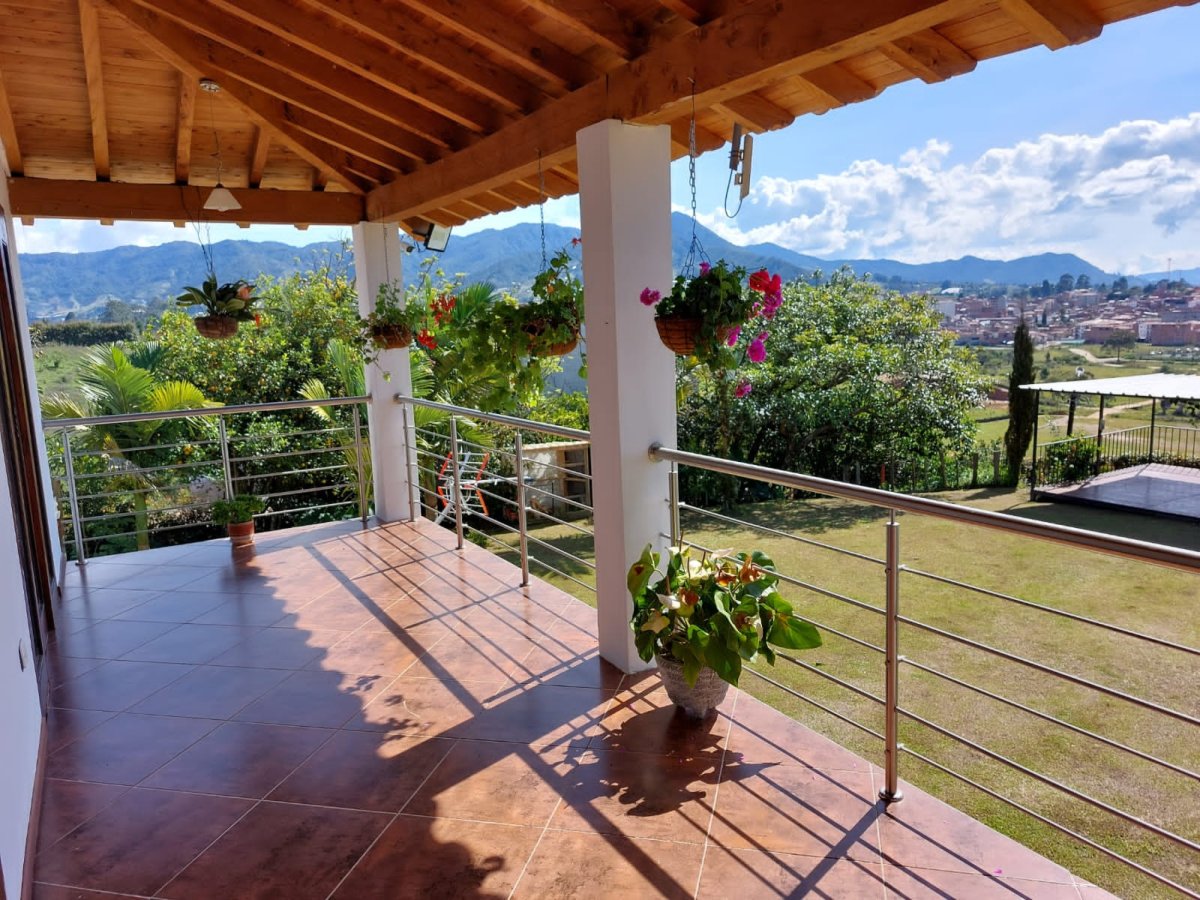 Lote - Foto 4