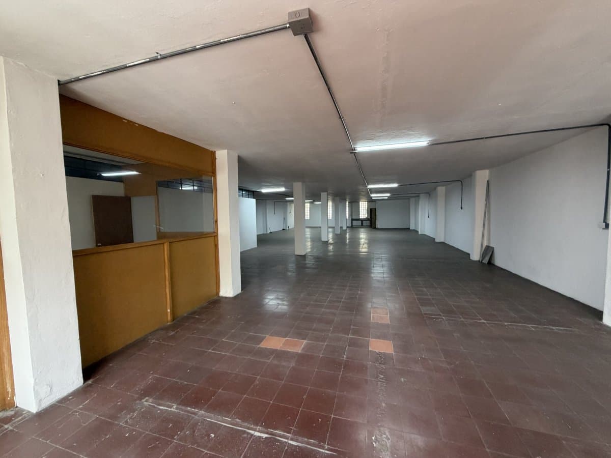 Bodega - Foto 5
